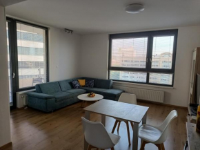 CityPark Apartment, free parking & AC